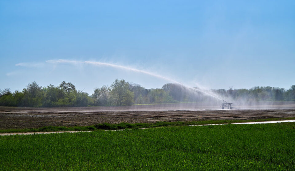 künstliche Bewässerung in der Landwirtschaft